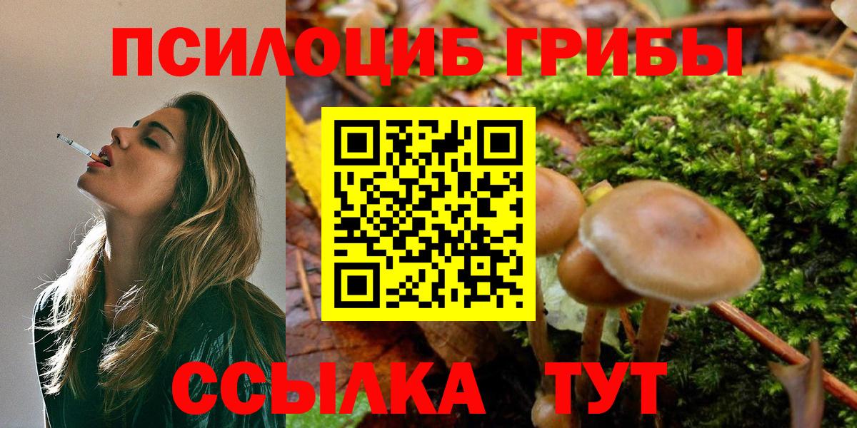 Галлюциногенные грибы мицелий  Галлюциногенные грибы MAGIC MUSHROOMS  Дятьково  Вход с VPN 