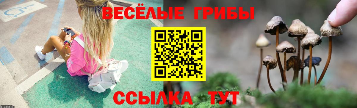 Псилоцибиновые грибы мухоморы Дятьково